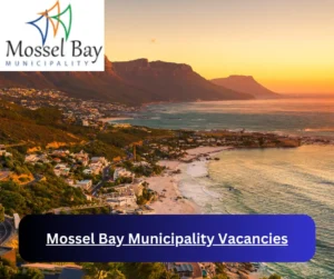 x1 Mossel Bay Municipality Vacancies 2025 @www.mosselbay.gov.za Career Opportunities