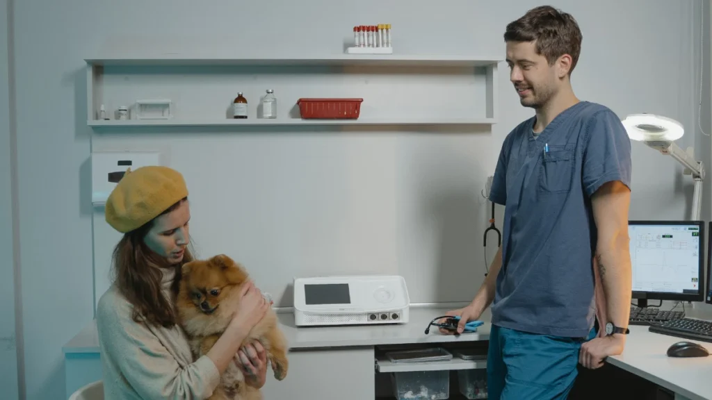 Pretoria Graduates Alert: Veterinary Nurse Internship 2025 Open Now