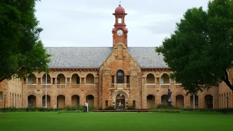Pretoria Graduates Alert: Veterinary Nurse Internship 2025 Open Now